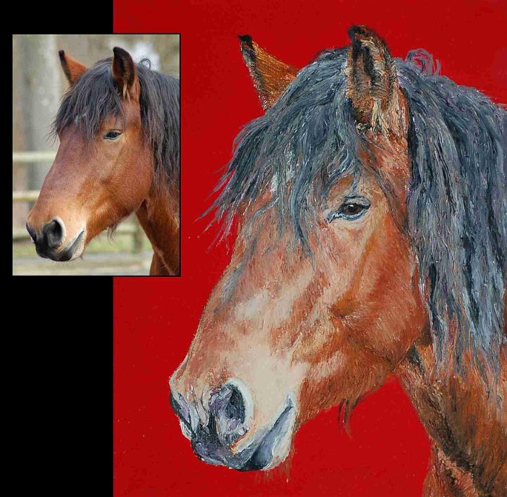 portrait Quitus.jpg - Painting oil on canvas -Huile sur toile format /size 24x30